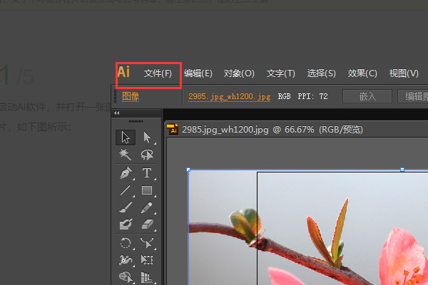 Adobe Illustrator官网版