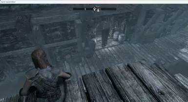 《上古卷轴5：天际重制版》盗贼公会任务MOD