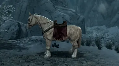 《上古卷轴5：天际重制版》帝国马鞍MOD