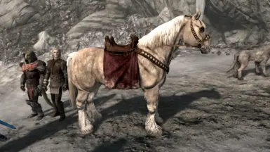 《上古卷轴5：天际重制版》帝国马鞍MOD