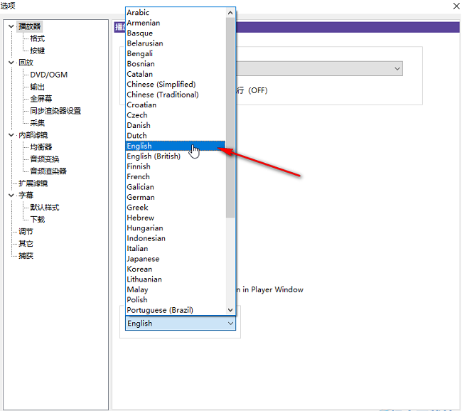 KMPlayer如何切换界面语言