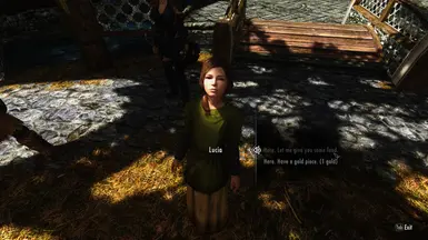 《上古卷轴5：天际重制版》给乞丐食物MOD