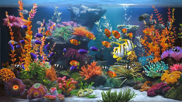 《Zen Aquarium》官方版