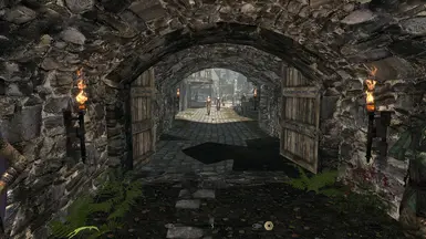 《上古卷轴5：天际重制版》城市裂谷北入口地面修复MOD