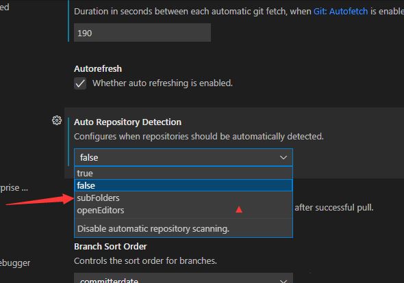 VSCode怎么关闭自动存储库检测子文件夹