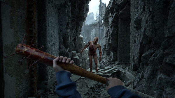 《荒凉避难所》官方版