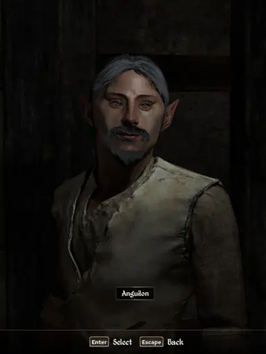 《上古卷轴4：湮灭重制版》自然精灵MOD