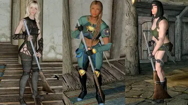 《上古卷轴5：重制版》钢扫帚MOD