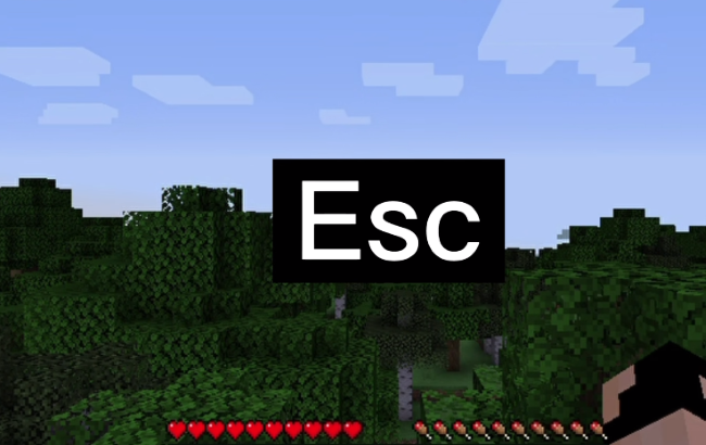 PCL2启动器怎么联机