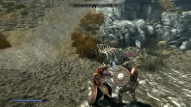 《上古卷轴5：天际重制版》真实守卫MOD