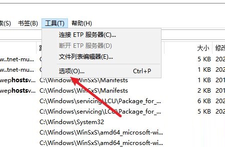 Everything怎么设置新建窗口快捷键