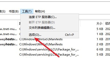 Everything怎么开启视图自动滚屏