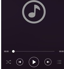 无损音乐播放器官方版