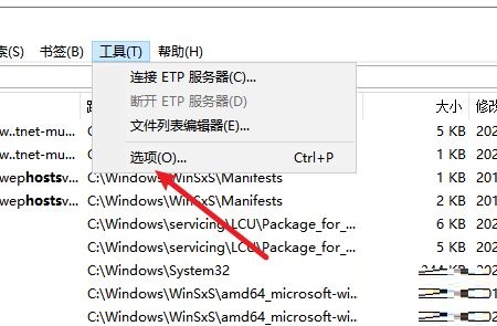 Everything怎么设置高亮光标经过行