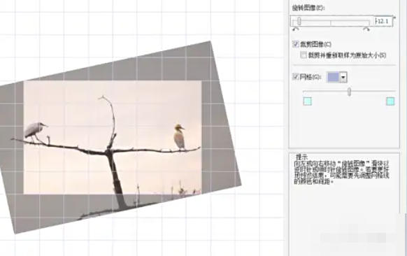 coreldraw怎么矫正图片