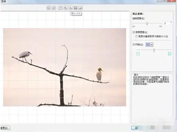 coreldraw怎么矫正图片