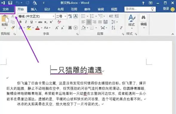 word2013怎么打印文档