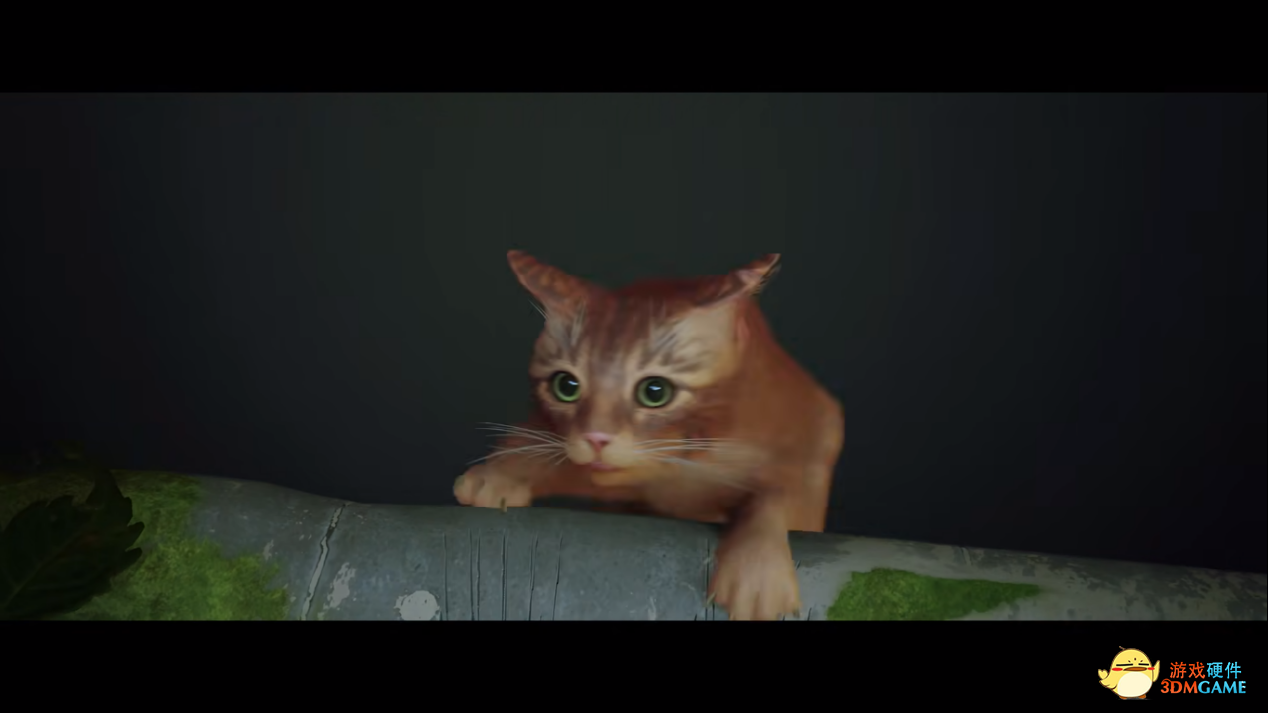 华硕重炮手主板体验Stray猫咪冒险游戏