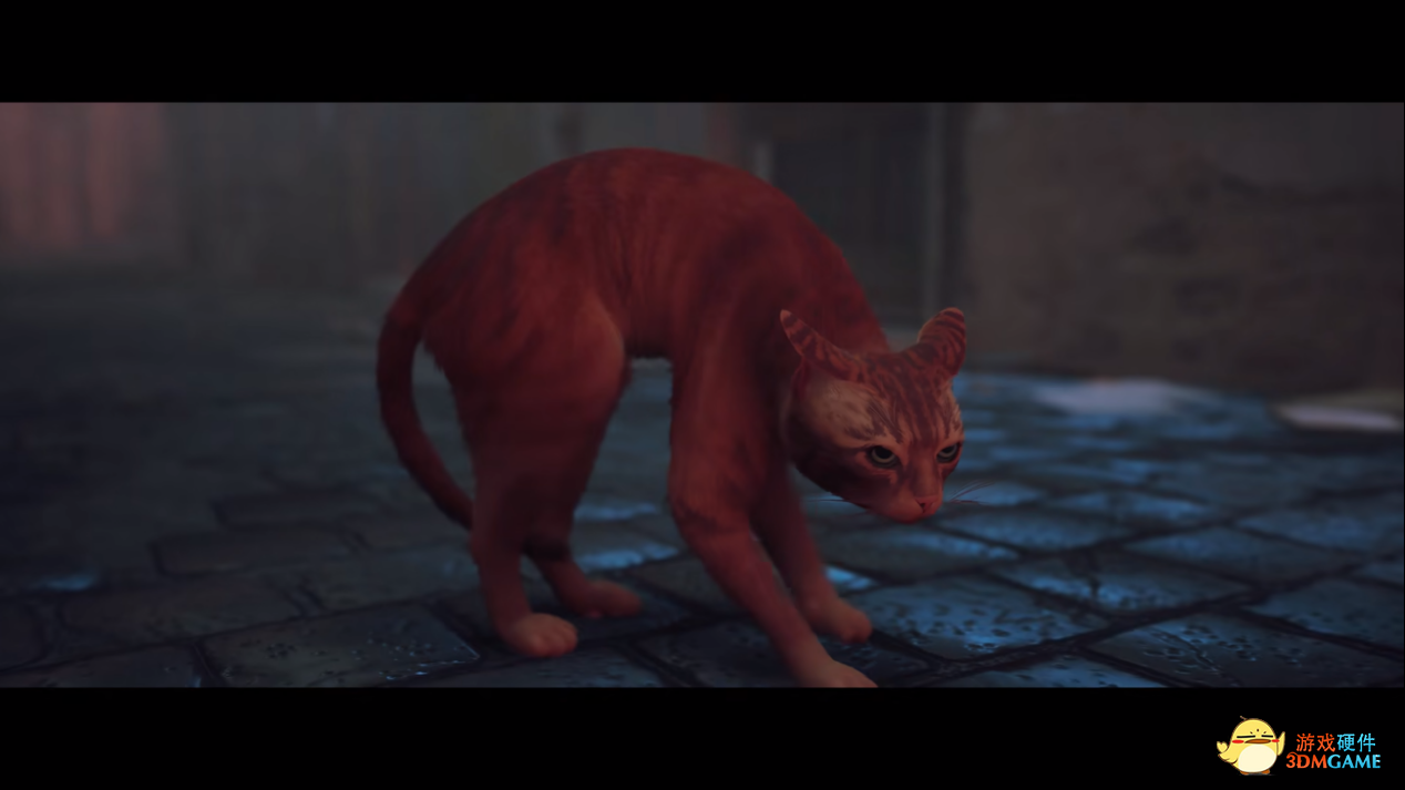 华硕重炮手主板体验Stray猫咪冒险游戏