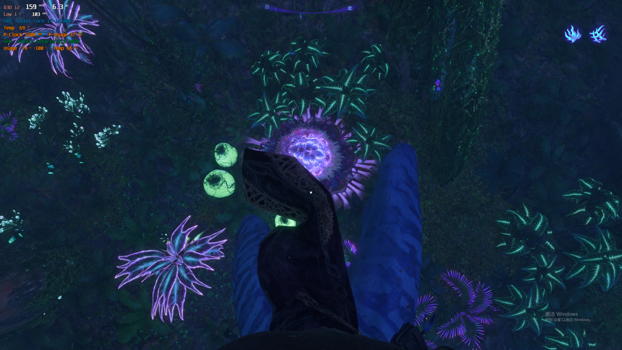 索泰显卡评测《阿凡达：潘多拉边境》：美到逆天的画面