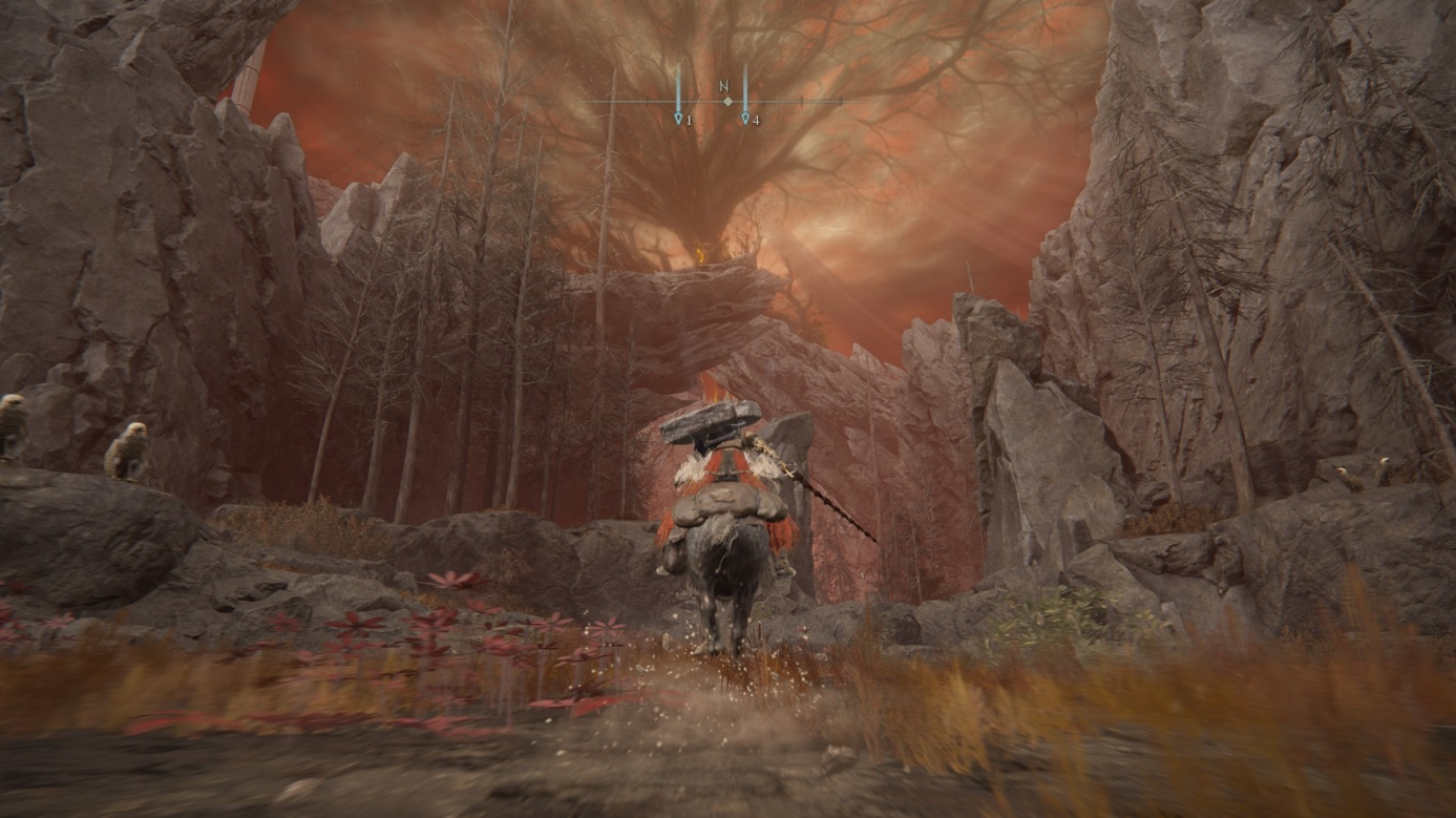 《艾尔登法环》DLC游戏实测！华硕显卡解锁高阶游戏体验