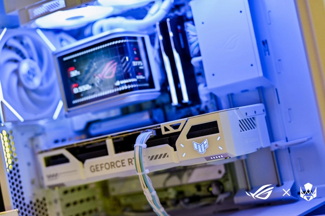 Vitality粉丝见面会嗨翻成都，ROG装备集结，开启电竞新体验