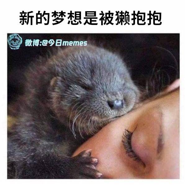 3DM轻松一刻第1436期 怎么感觉妹子有点疲惫呢？