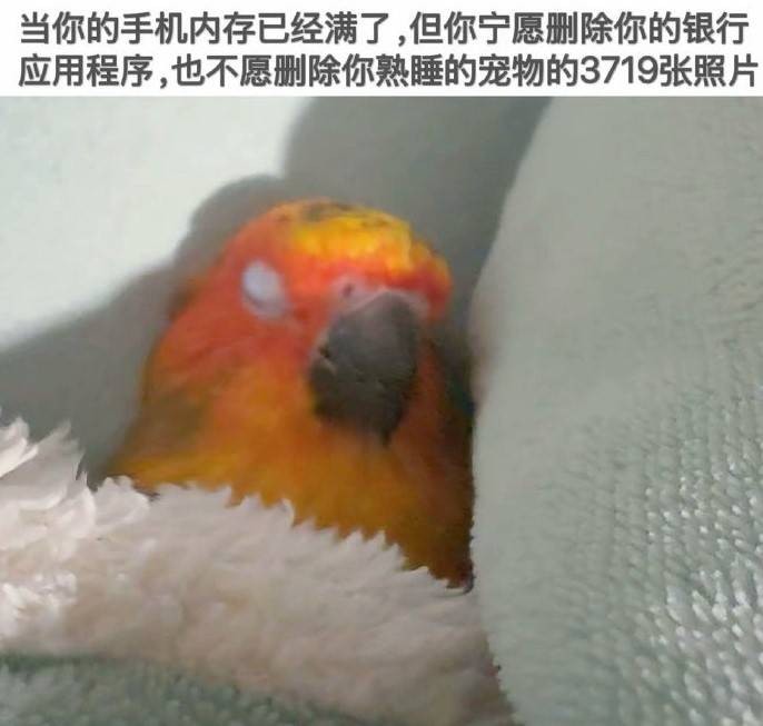 3DM轻松一刻第1441期 我想和漂亮妹子壁咚下！