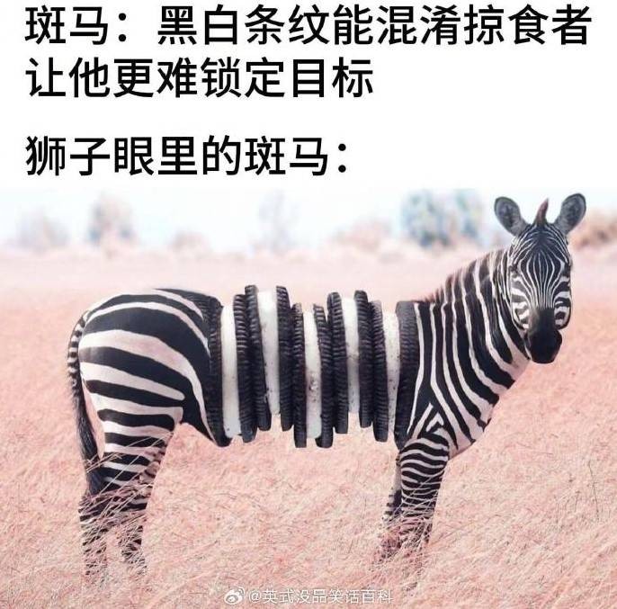 3DM轻松一刻第1581期 体育老师也过不了美人关的