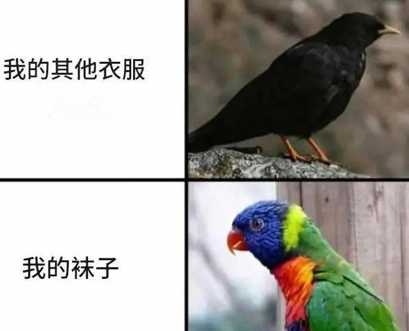 3DM轻松一刻第1582期 面纱也遮不住这绝世的容颜