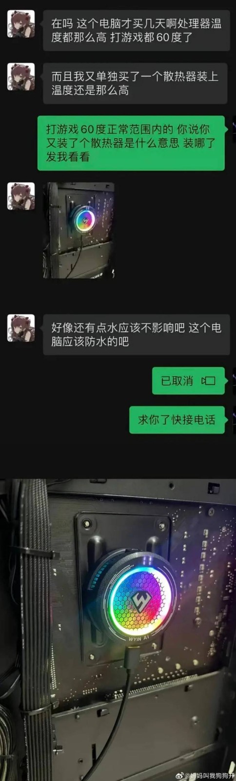 3DM轻松一刻第1582期 面纱也遮不住这绝世的容颜