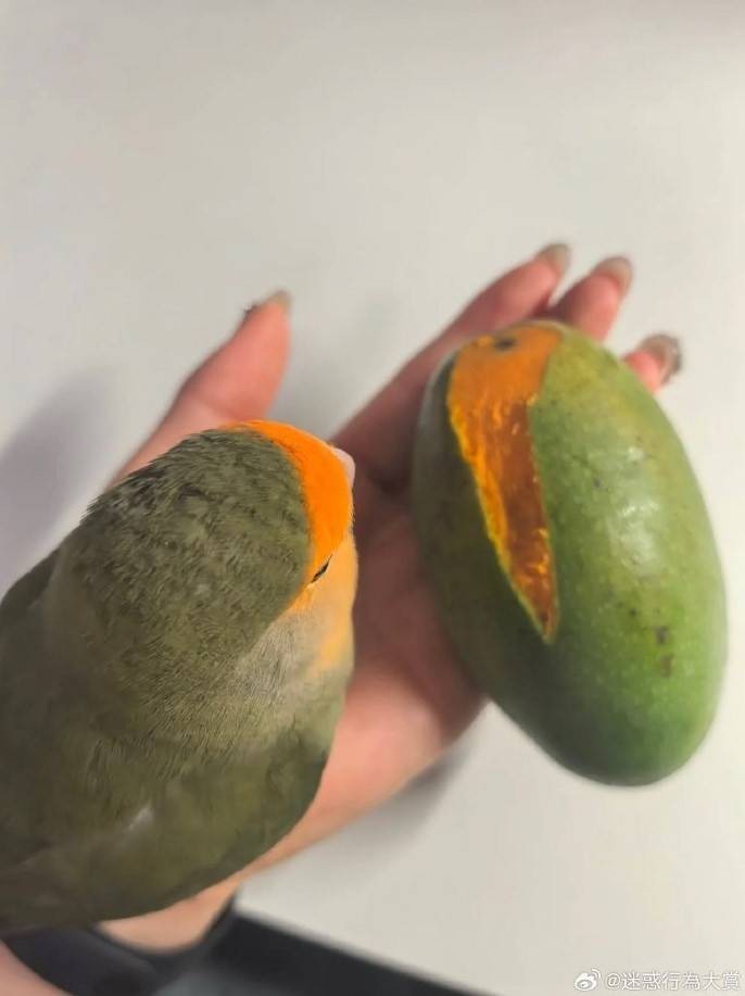 3DM轻松一刻第1583期 妹子这么可爱你出手这么重