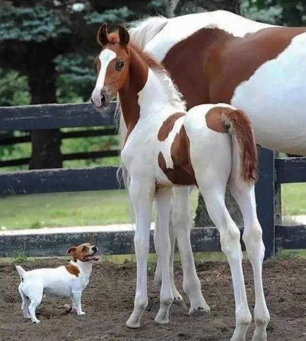 3DM轻松一刻第1583期 妹子这么可爱你出手这么重