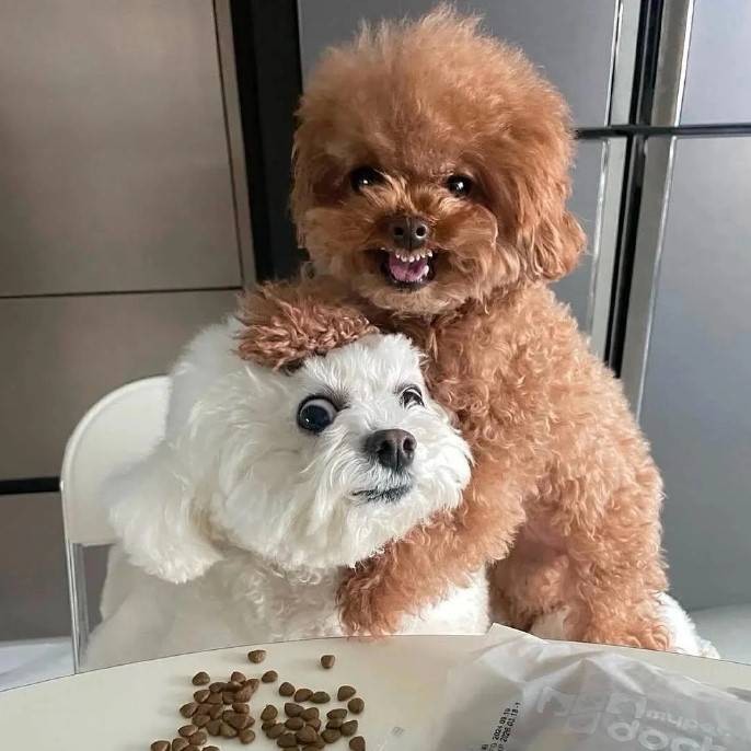 3DM轻松一刻第1583期 妹子这么可爱你出手这么重