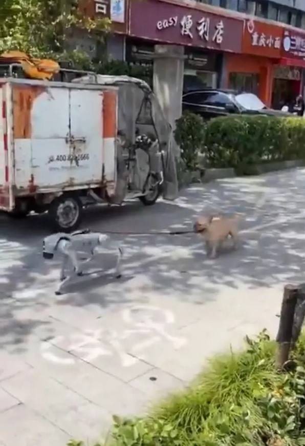 3DM轻松一刻第1584期 修电脑是女秘书必备的技能