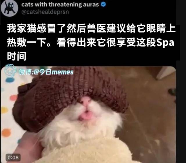 3DM轻松一刻第1584期 修电脑是女秘书必备的技能