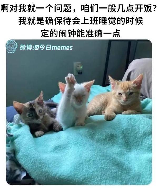 3DM轻松一刻第1584期 修电脑是女秘书必备的技能