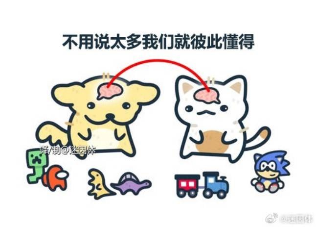 3DM轻松一刻第1585期 最俗的外表放最极品的东西