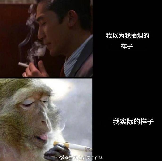 3DM轻松一刻第1585期 最俗的外表放最极品的东西