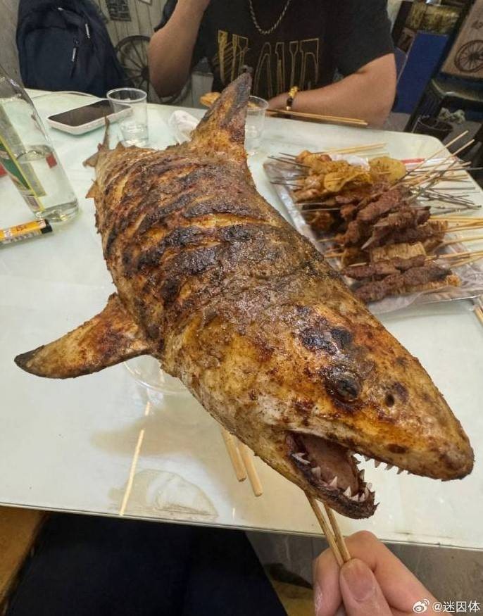 3DM轻松一刻第1585期 最俗的外表放最极品的东西