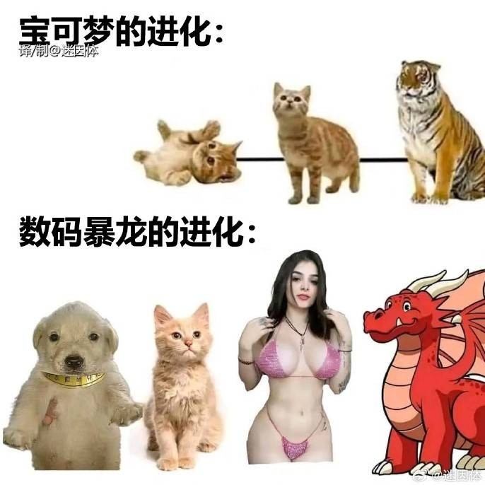 3DM轻松一刻第1586期 妹妹新学的舞蹈跳给大家看