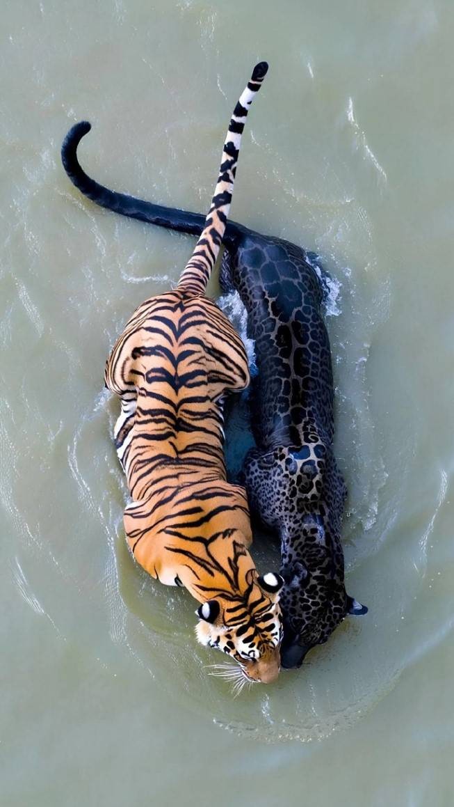 3DM轻松一刻第1586期 妹妹新学的舞蹈跳给大家看