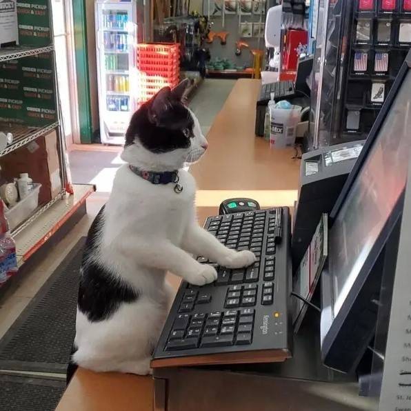 3DM轻松一刻第1587期 妹子的英姿给马都整笑了